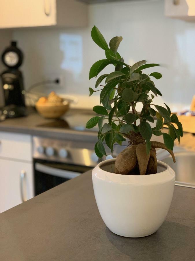 Apartment Koeln Ensen Екстер'єр фото